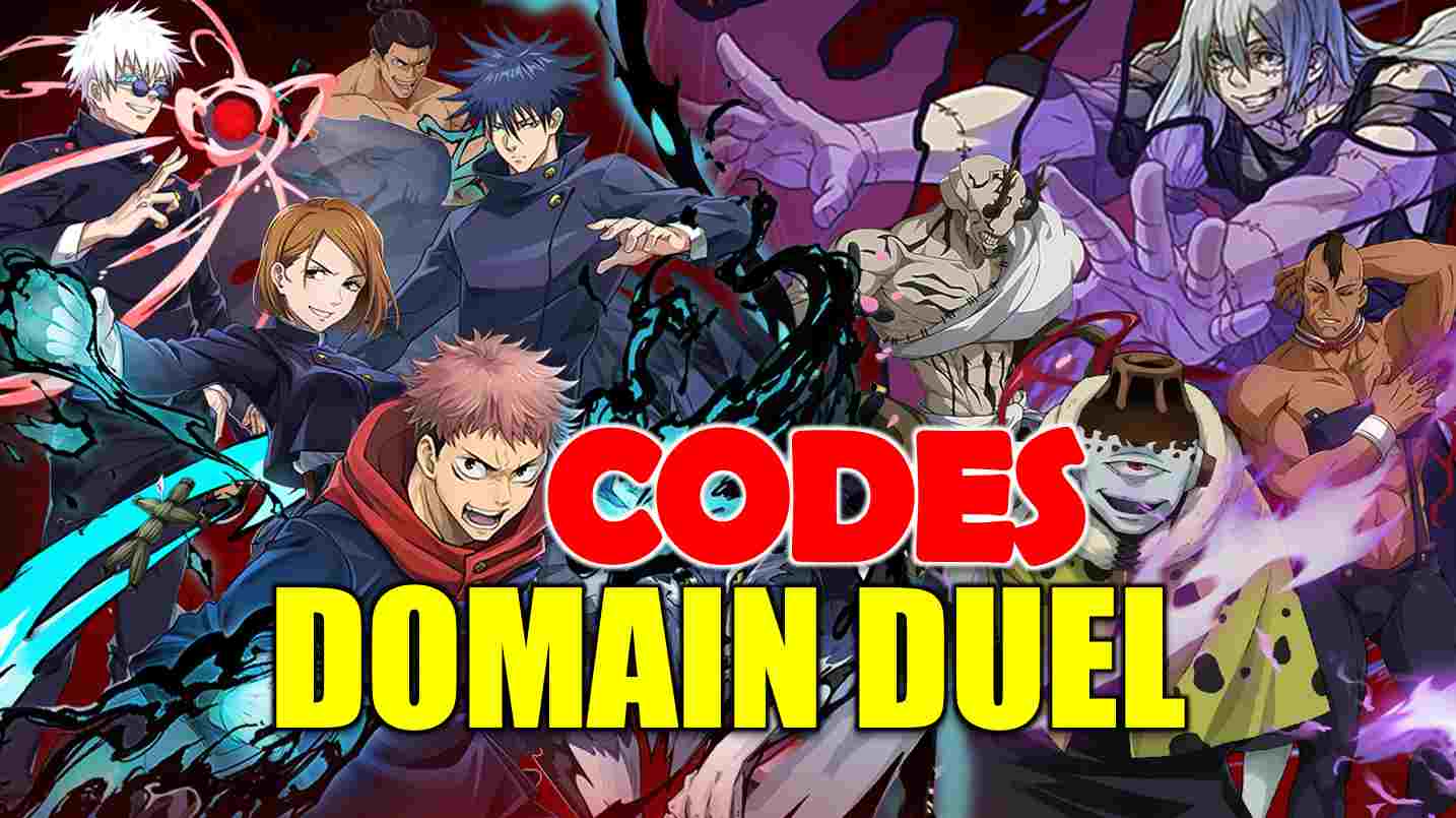 Domain Duel Codes